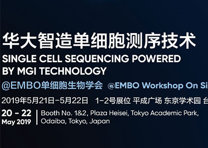 華大智造攜手10x Genomics：單細(xì)胞RNA測序技術(shù)不止步！