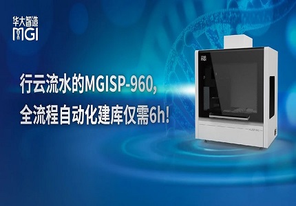 用戶測評 | 一氣呵成！華大智造MGISP-960助力翌圣生物全預混RNA建庫實現全流程高度自動化
