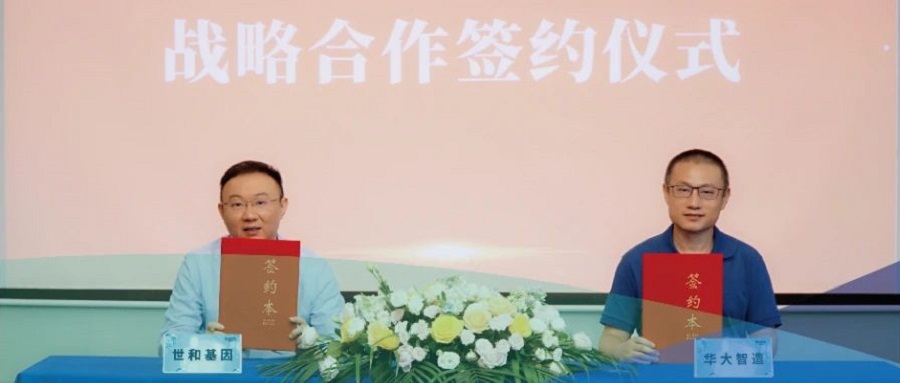 世和基因與華大智造達成全球化戰略合作，賦能大規模自然人群腫瘤早篩項目
