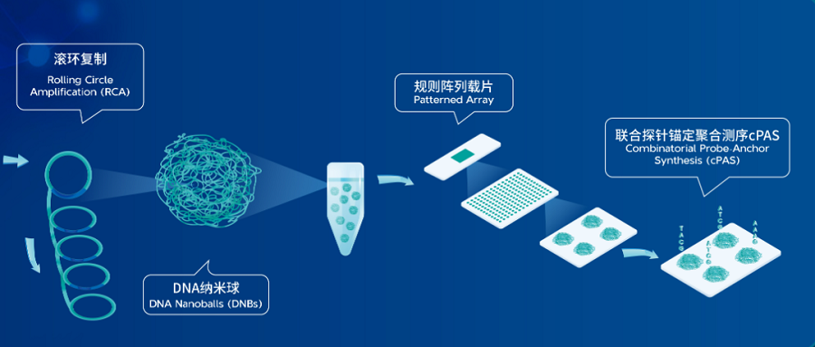 基于華大智造DNBSEQ技術，三款國產測序儀獲批國家藥監局醫療器械注冊證！
